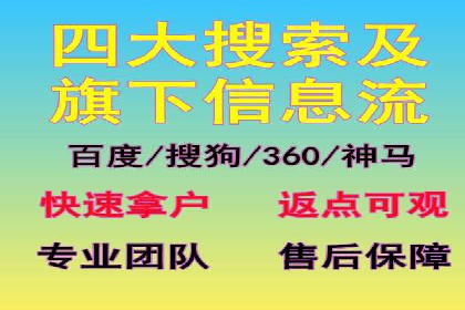 SEM运营公司经典案例点评